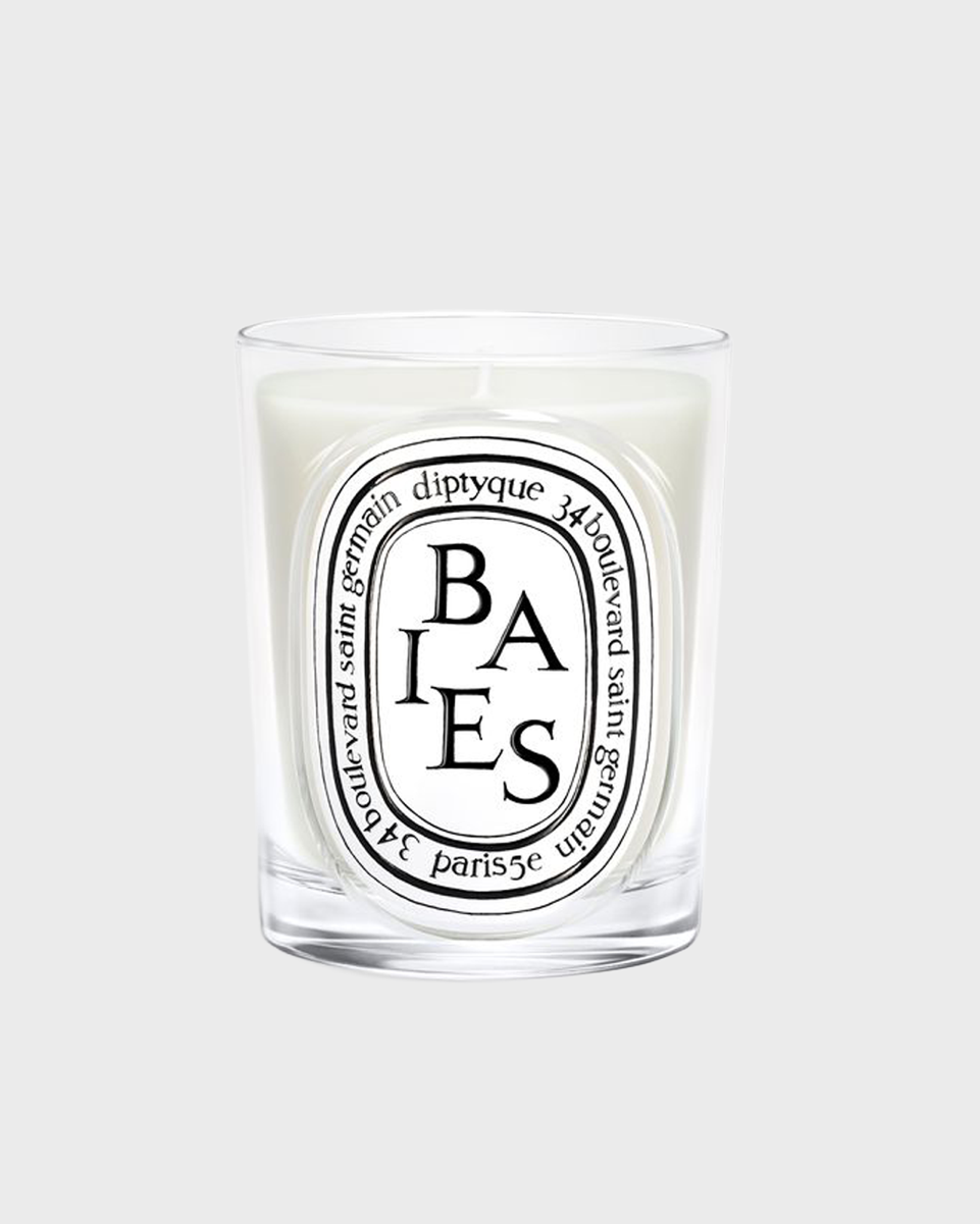 Diptyque Baies Standard Candle